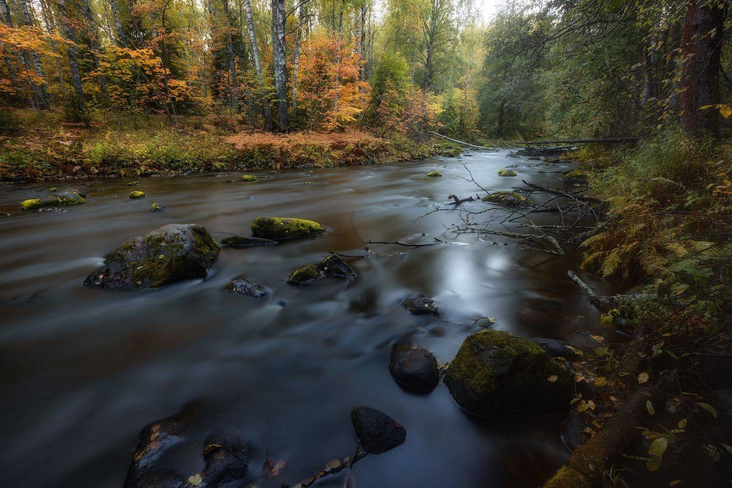 рощино линдуловская роща осень вечер сентябрь река рощинка линтуловка камни течение, Скороходов Константин