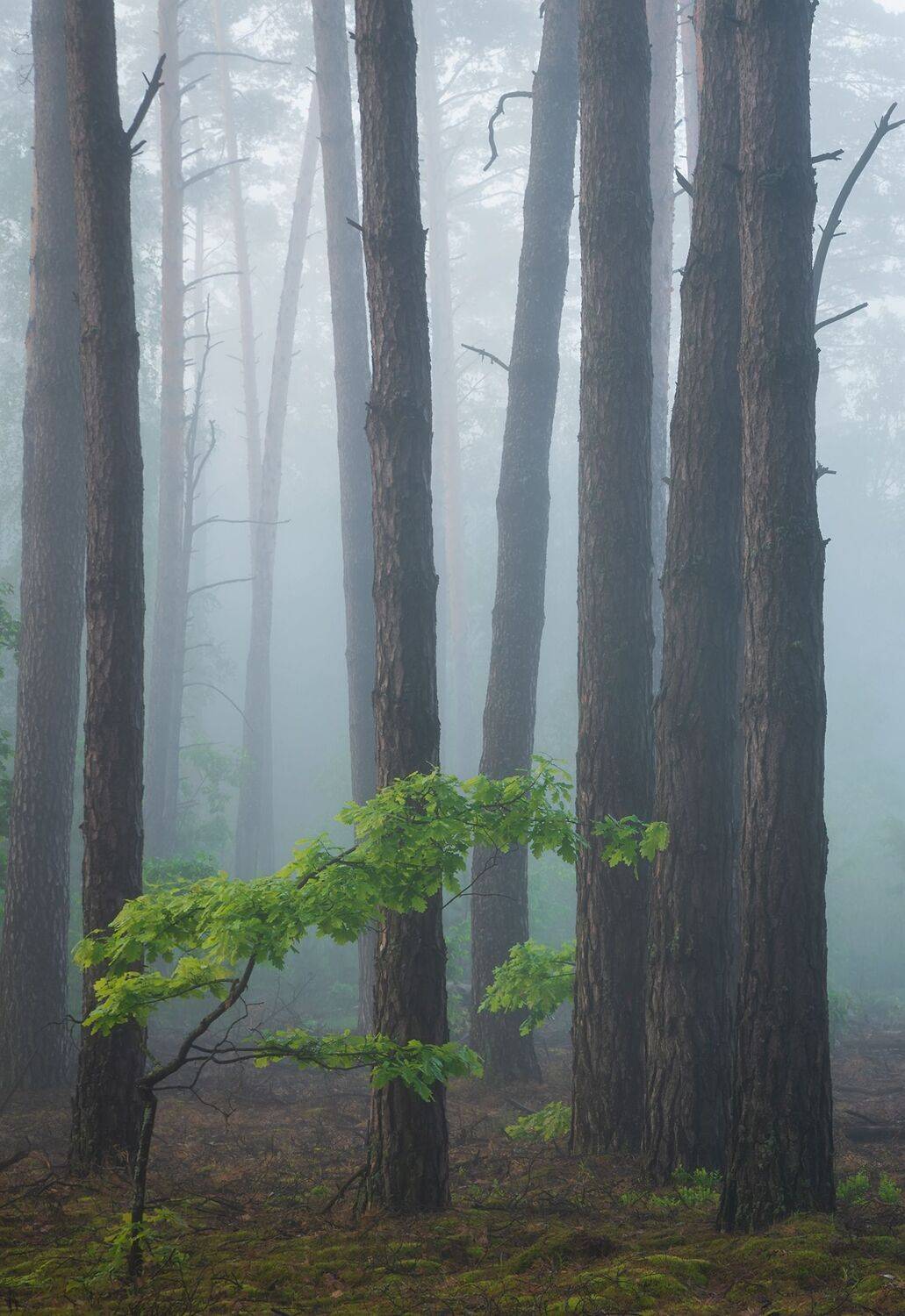, Захаров Дмитрий