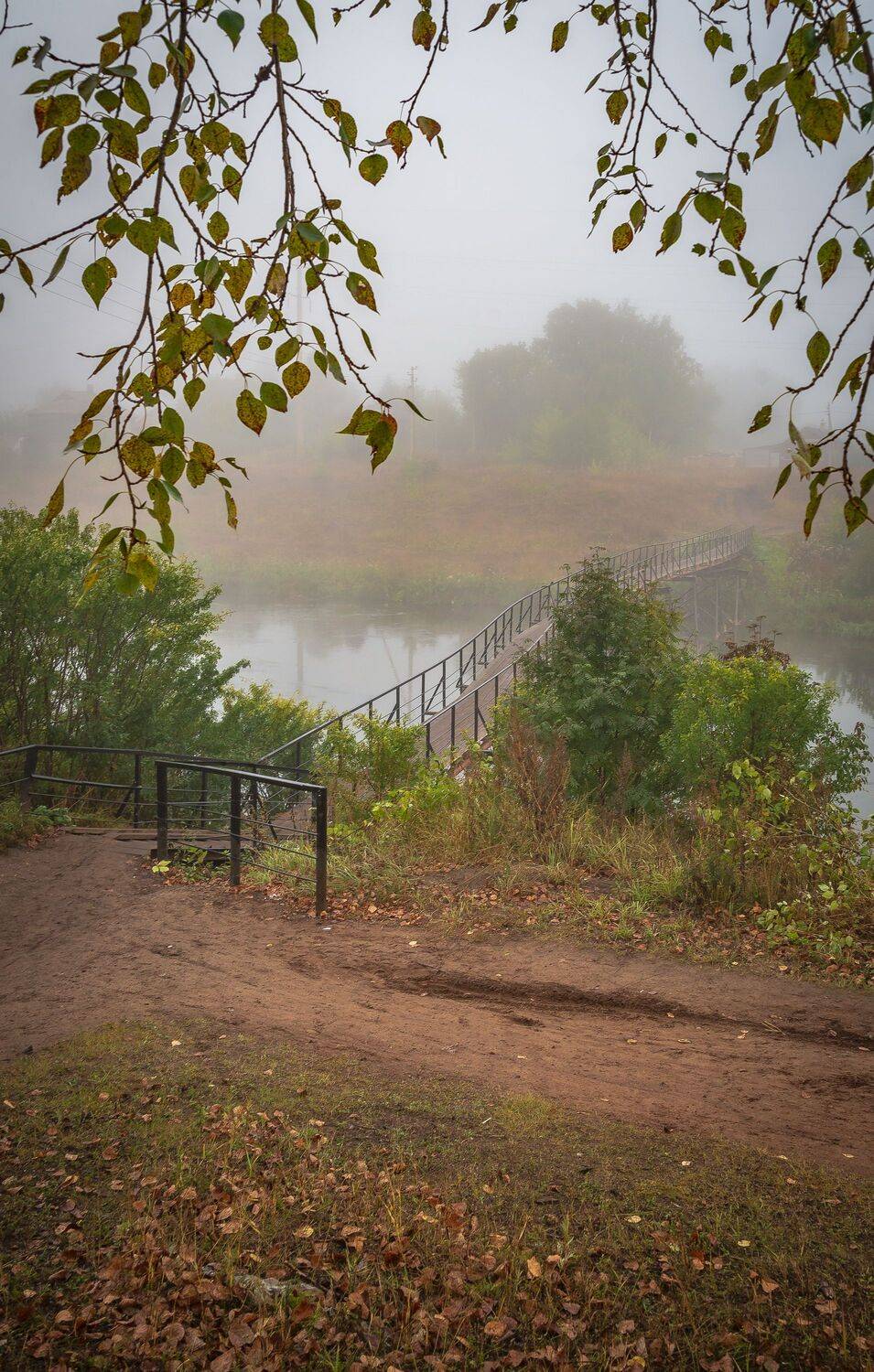 , Алексей Шуплецов