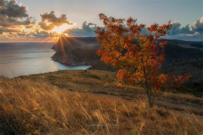 Солнечная осень фото превью