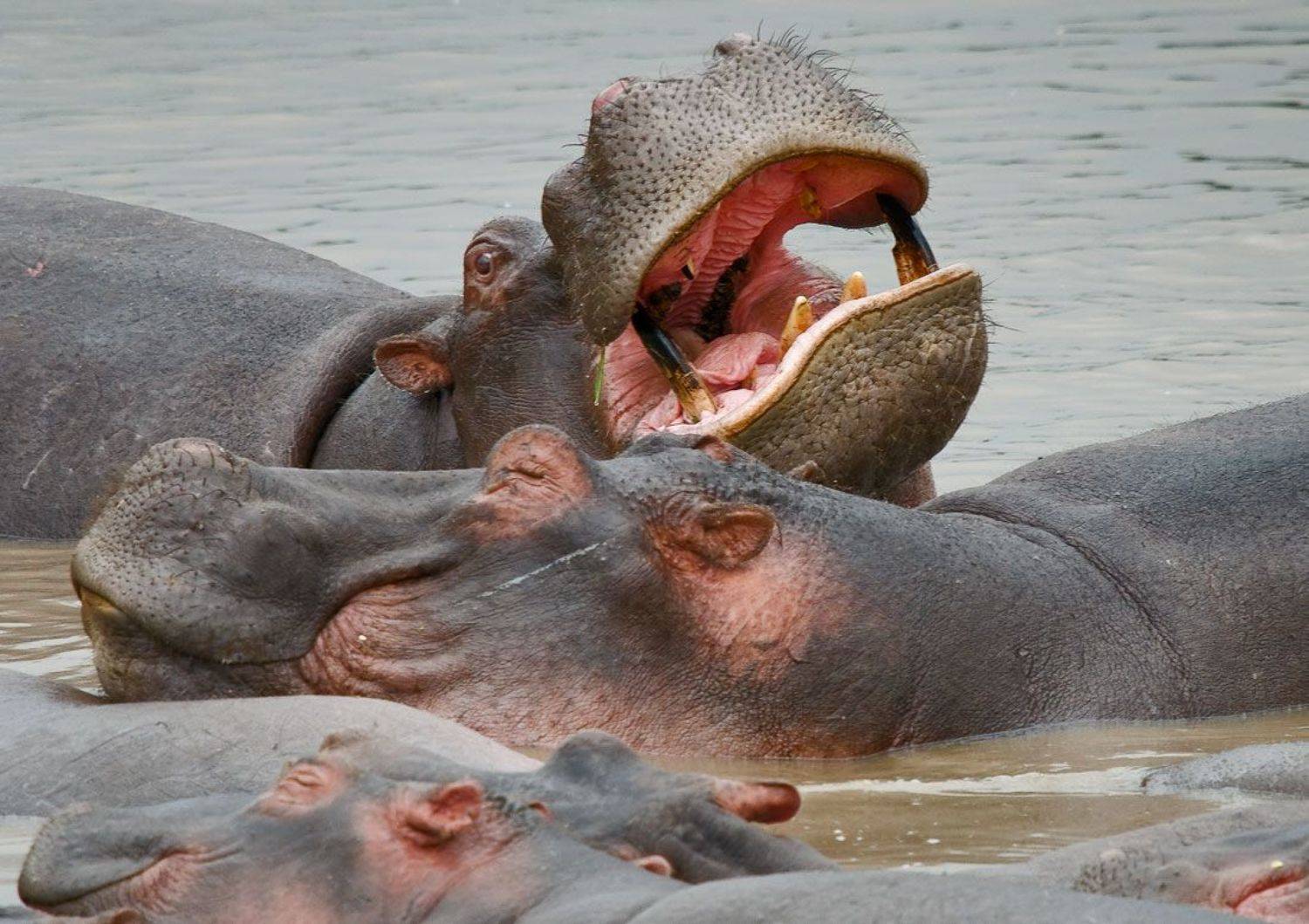 , Юрий Гордонов