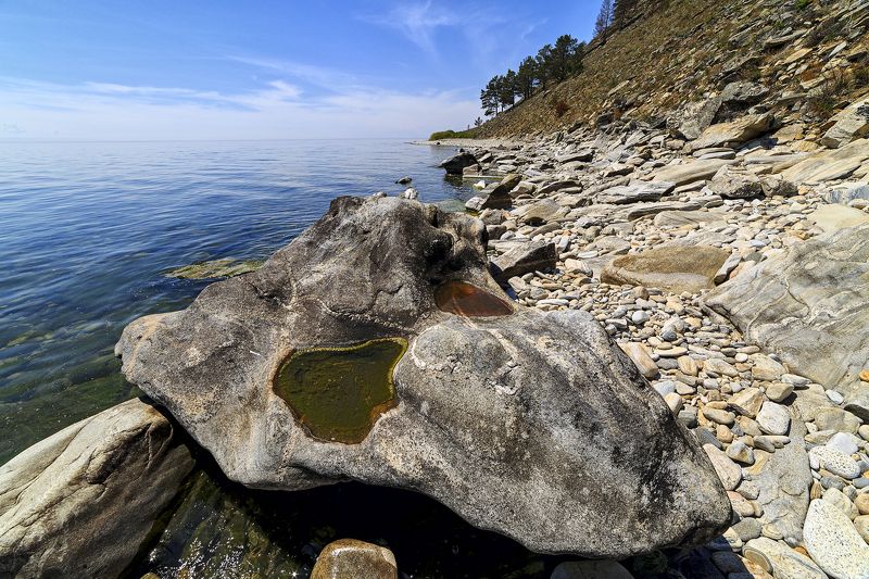 Череп фото превью