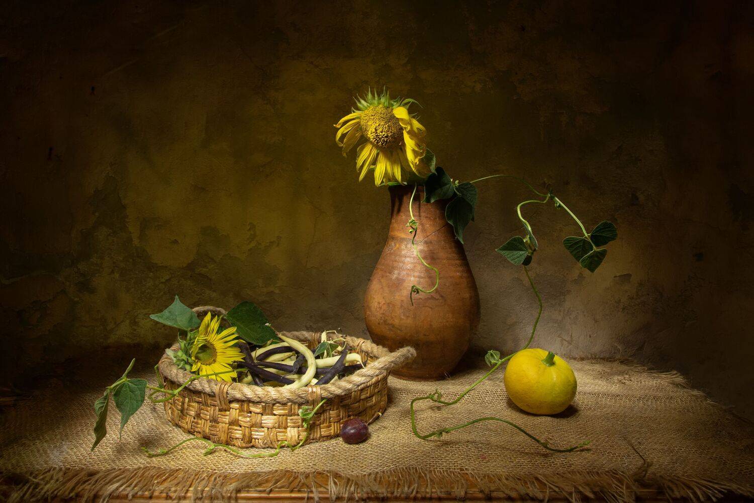 натюрморт, фасоль, подсолнухи, Феденкова Татьяна