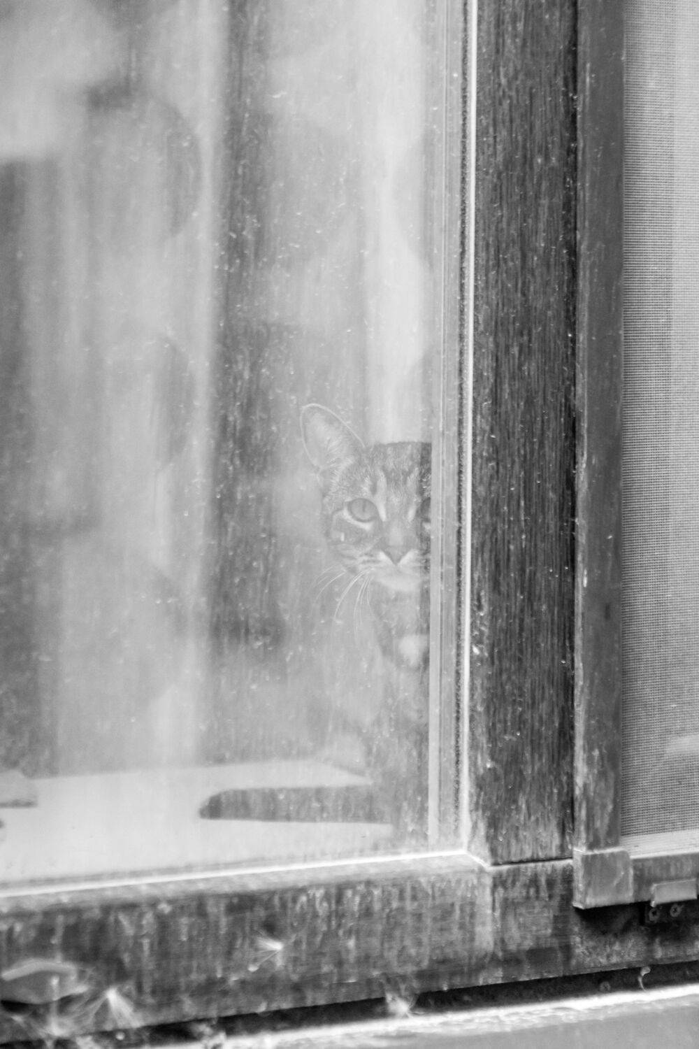 , Alexander Shilov