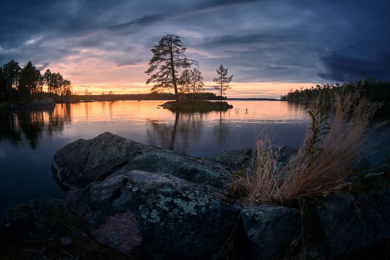 карелия, закат, остров, топозеро  фото превью