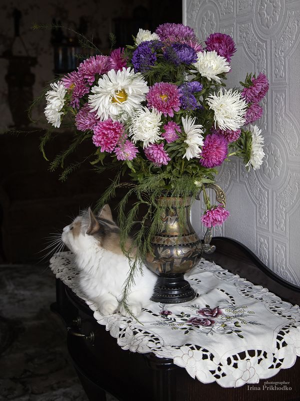 Букет астр и Бусинка фото превью
