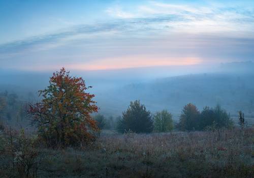 Акварели осени