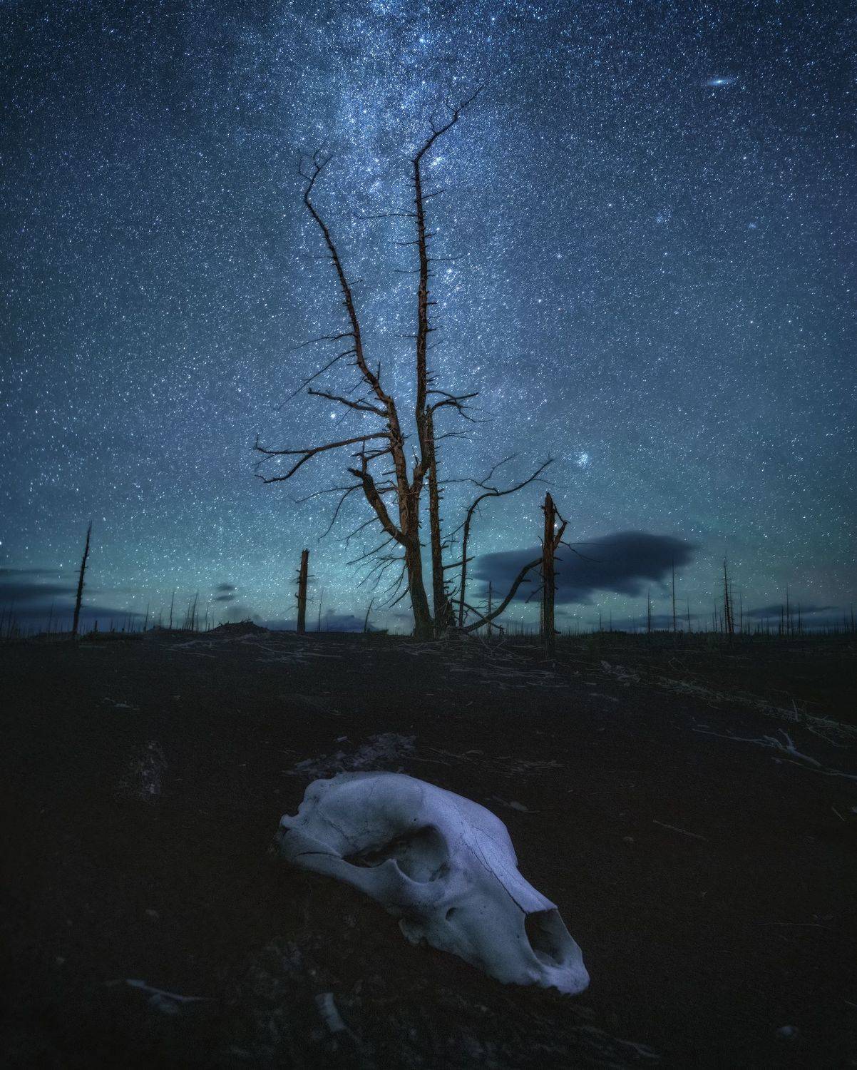 камчатка, Андрей Грачев