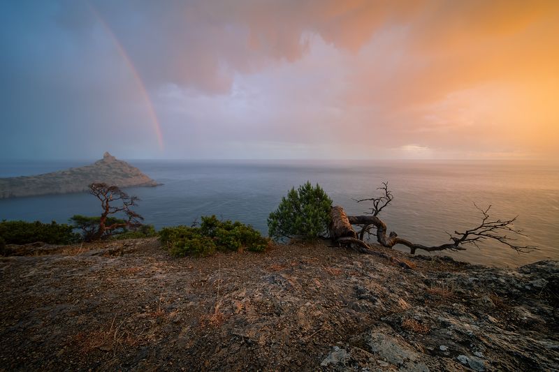 ***** фото превью