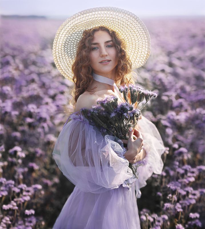 Фацелия фото превью