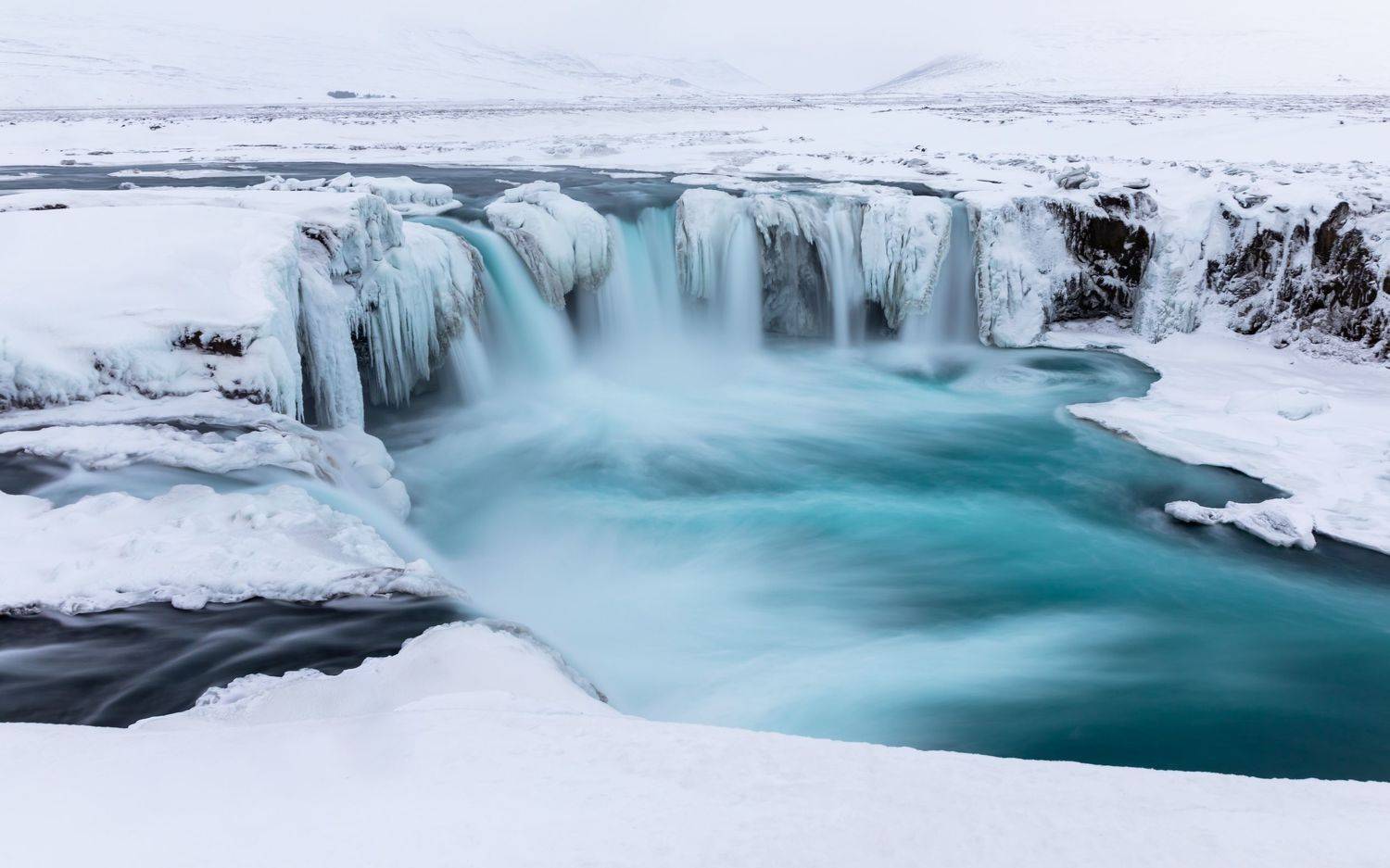 , Евгения Чех