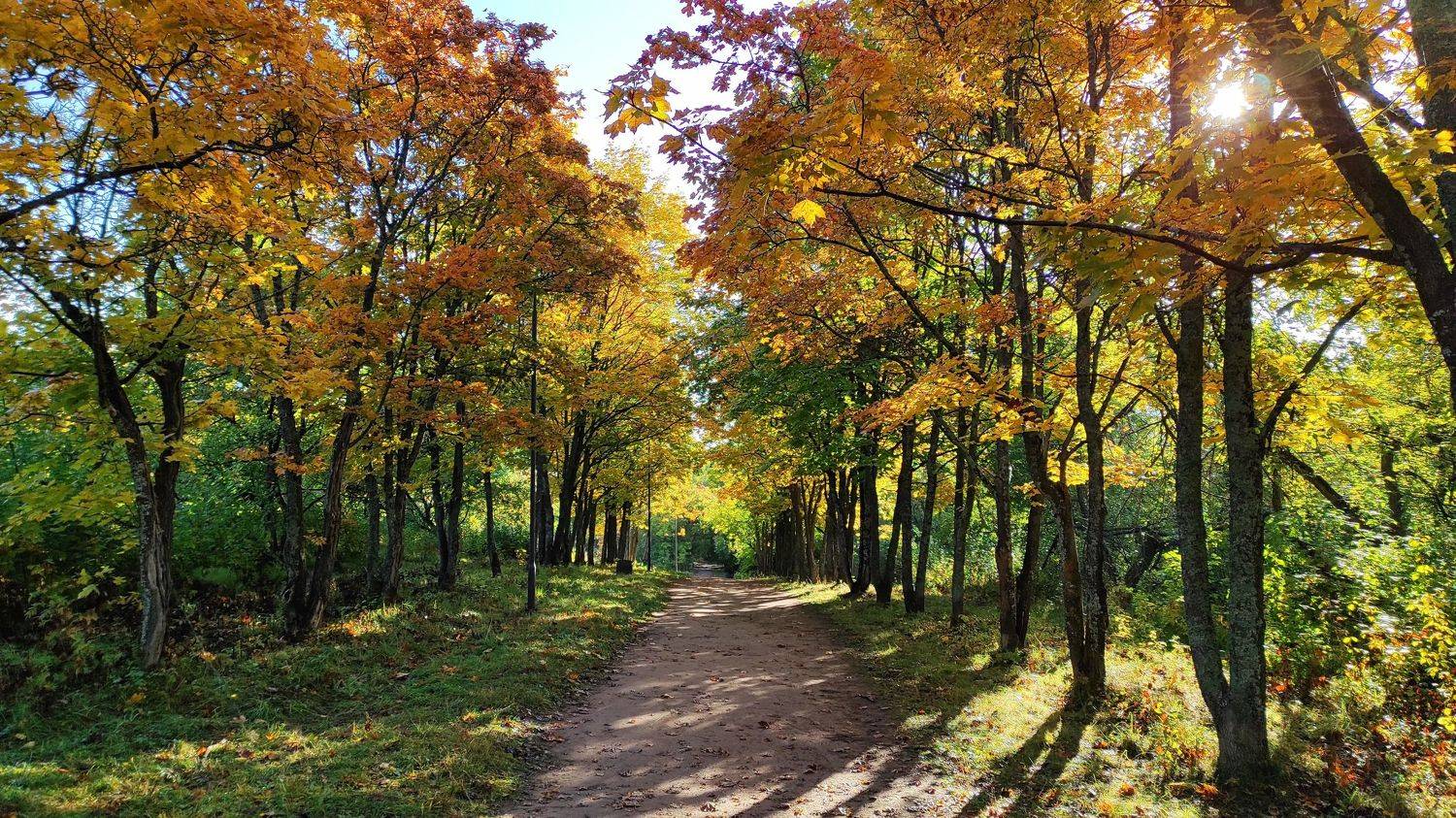 осень, Андрей Перешеин