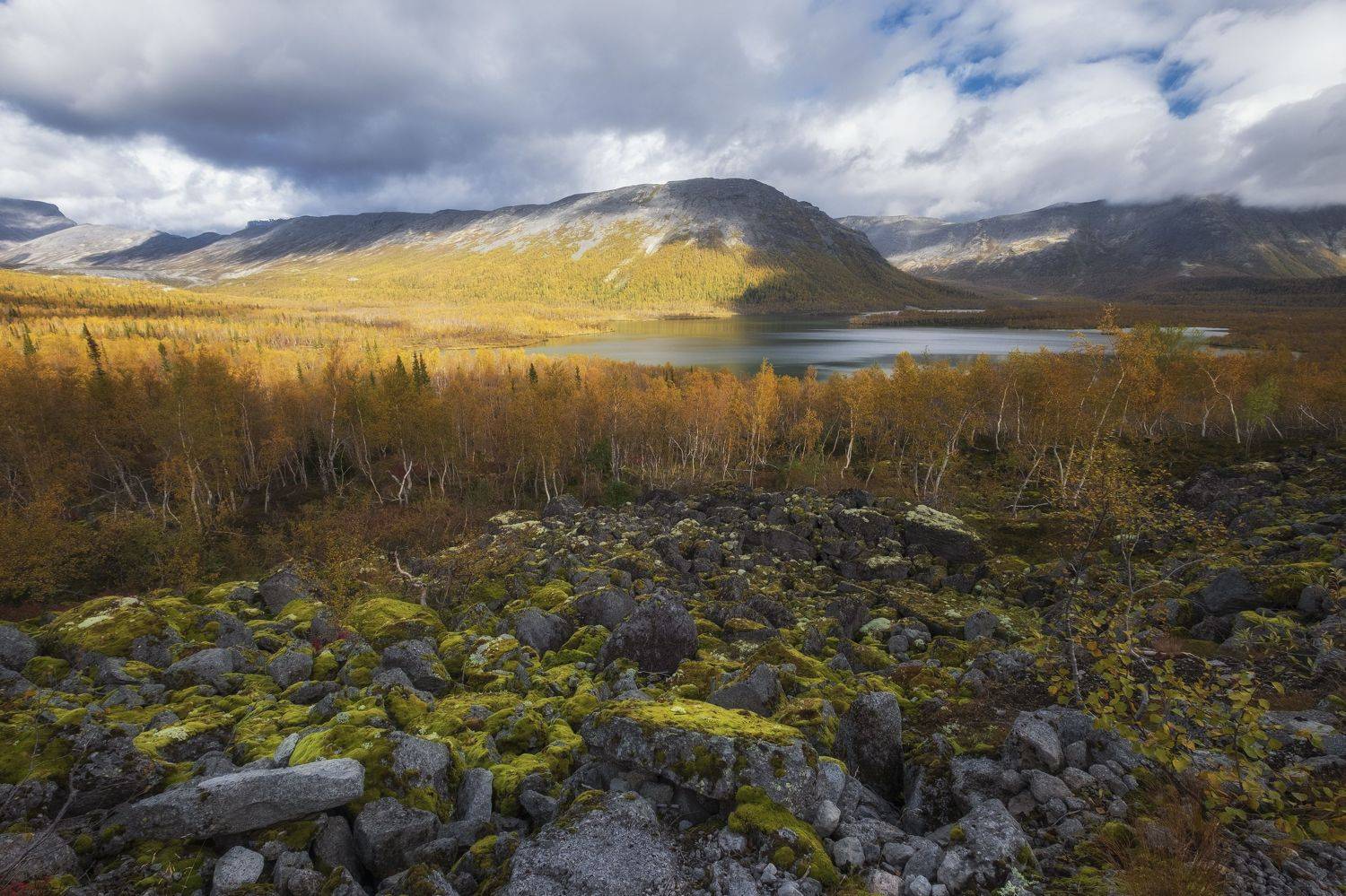 , Светлана Краюшкина