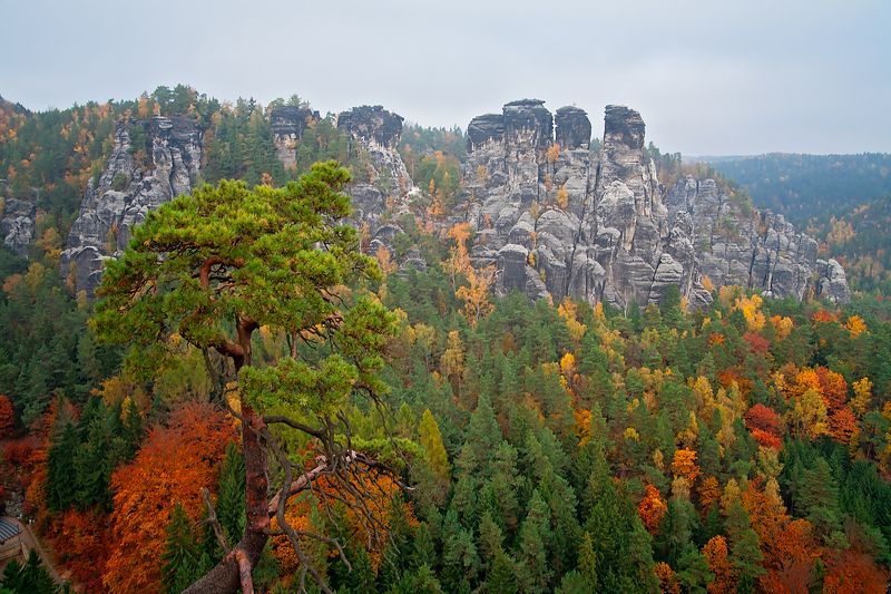 Национальный парк Саксонская Швейцария, Германия фото превью