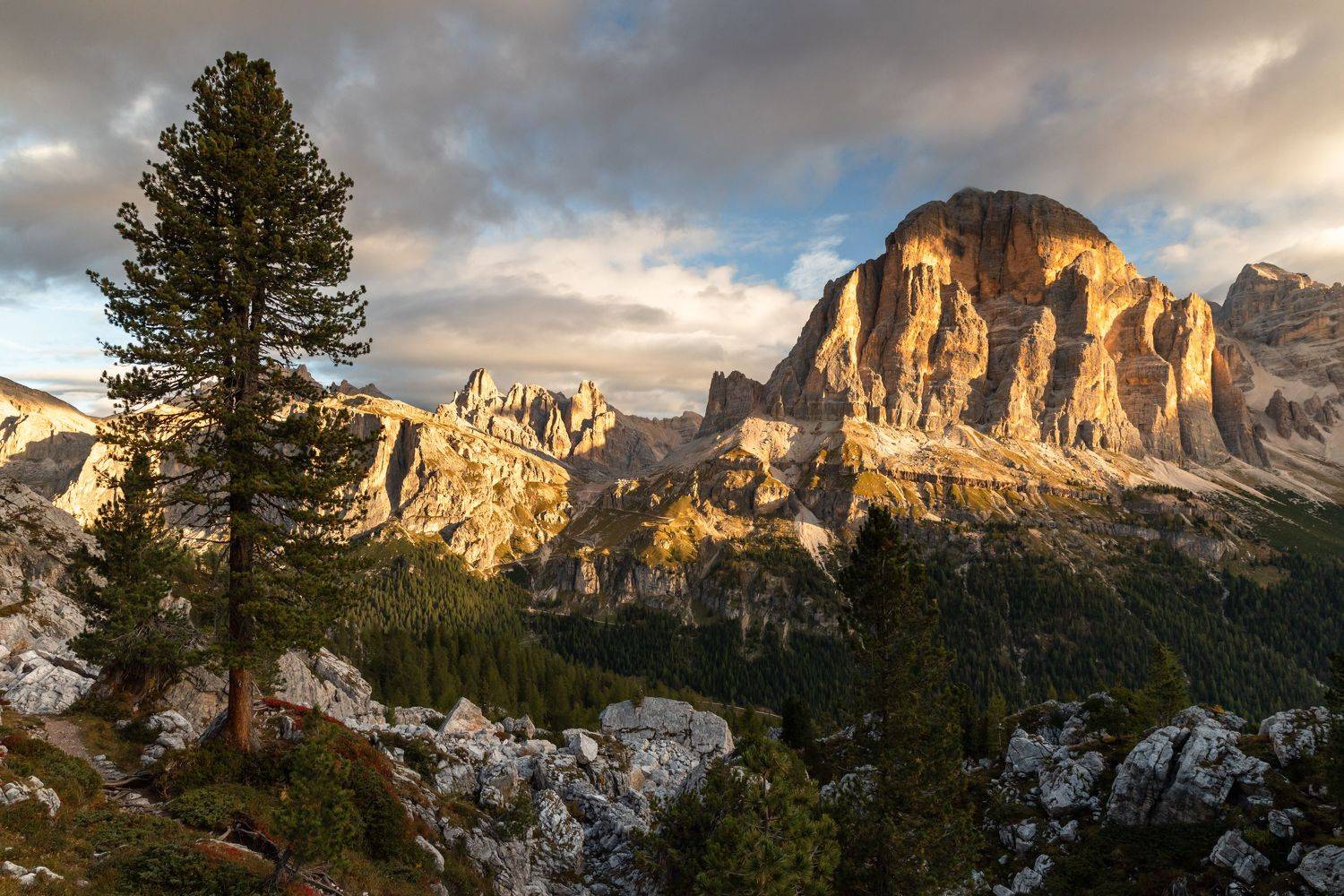 , Евгения Чех
