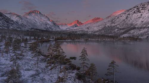 Пламенеет первый снег
