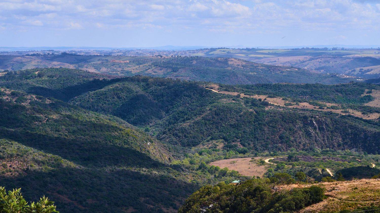 , Вячеслав Владимирович