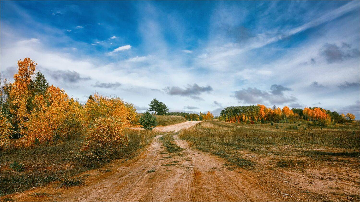 пейзаж, осень, дорога, деревья, небо, облака, цвет, свет, александр никитинский, Никитинский Александр
