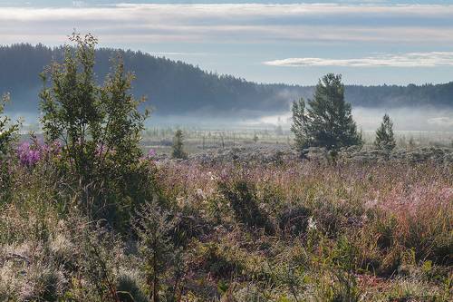 Начало знойного дня