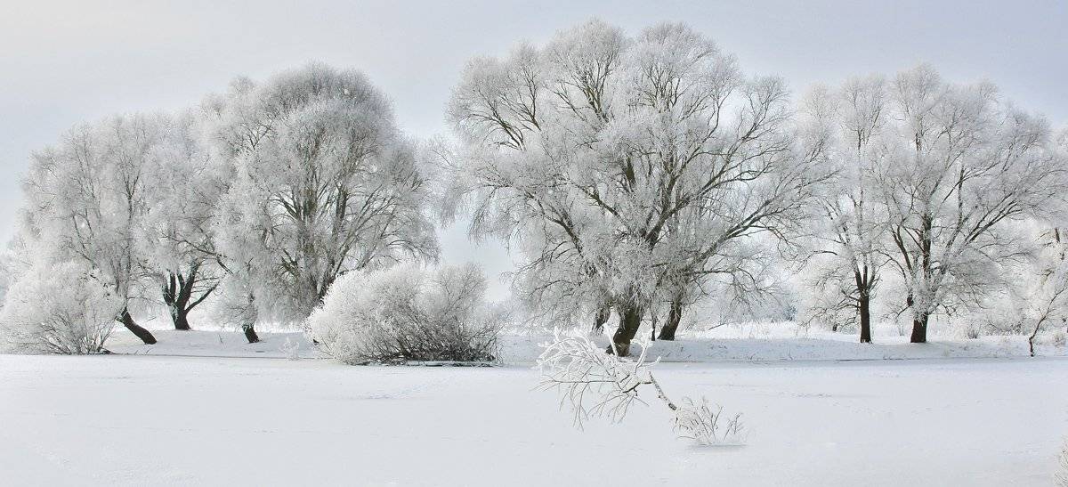 , Валерий Кондратов