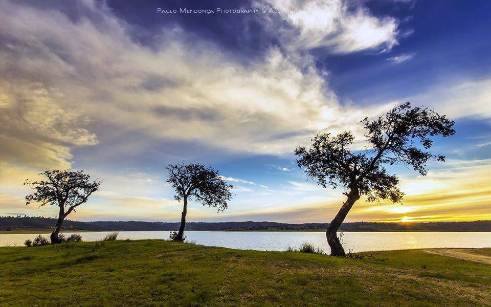 , Paulo Mendon&ccedil;a