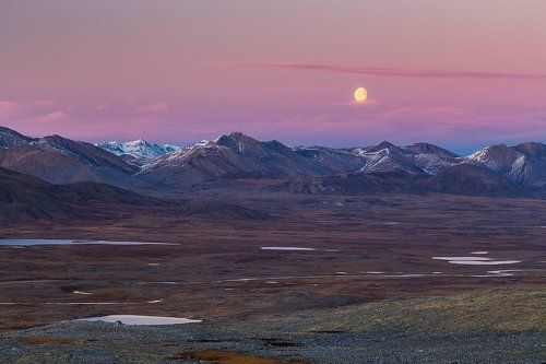 Лунный вечер