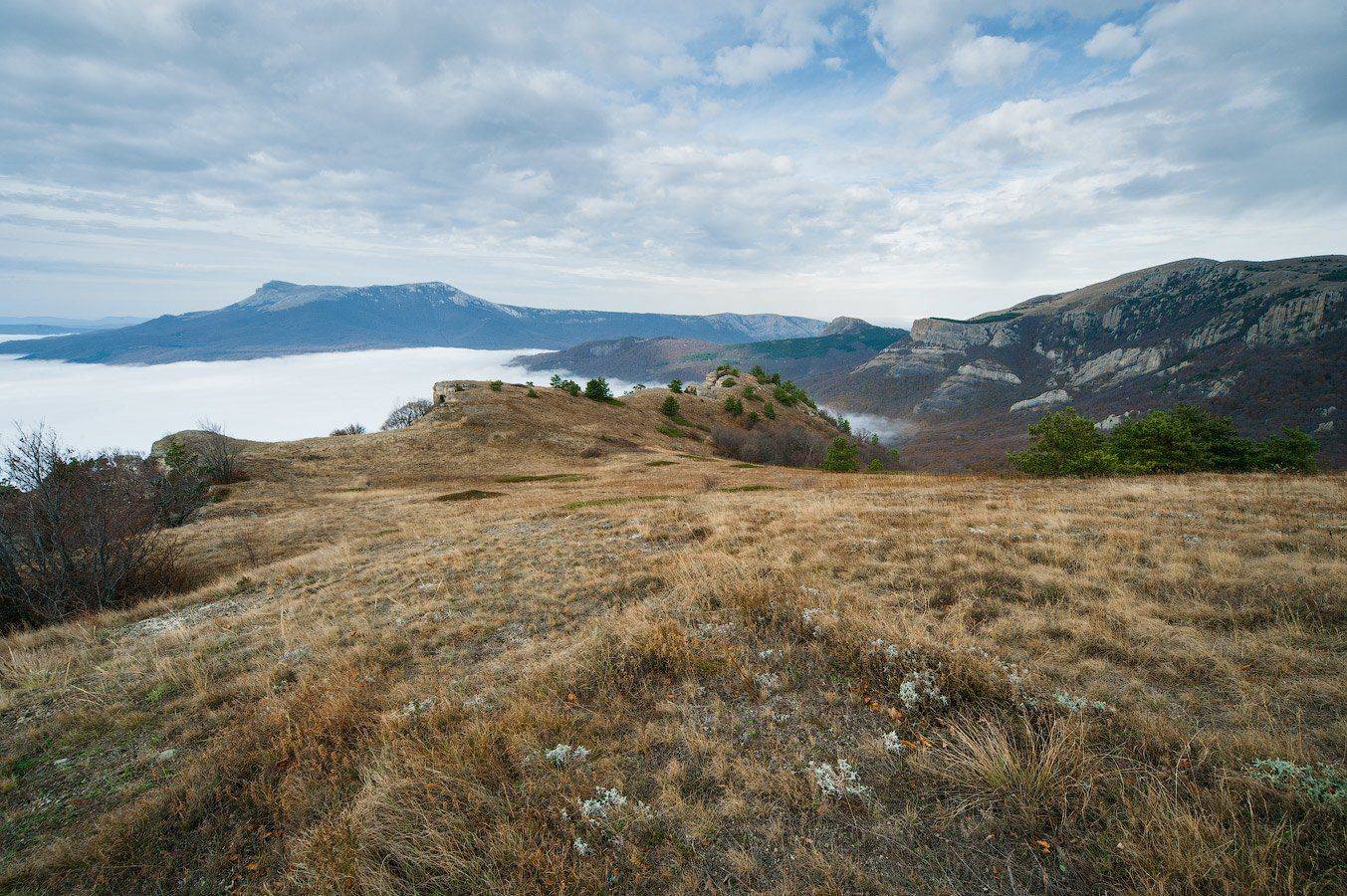 , Олег Логунов