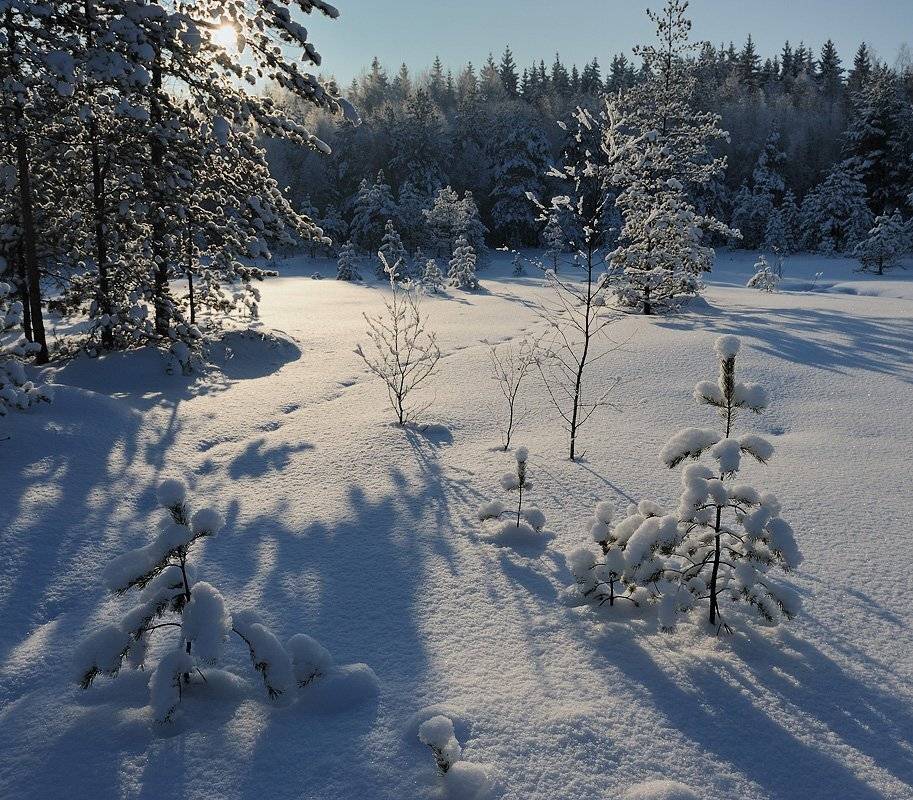 , Сергей Седов