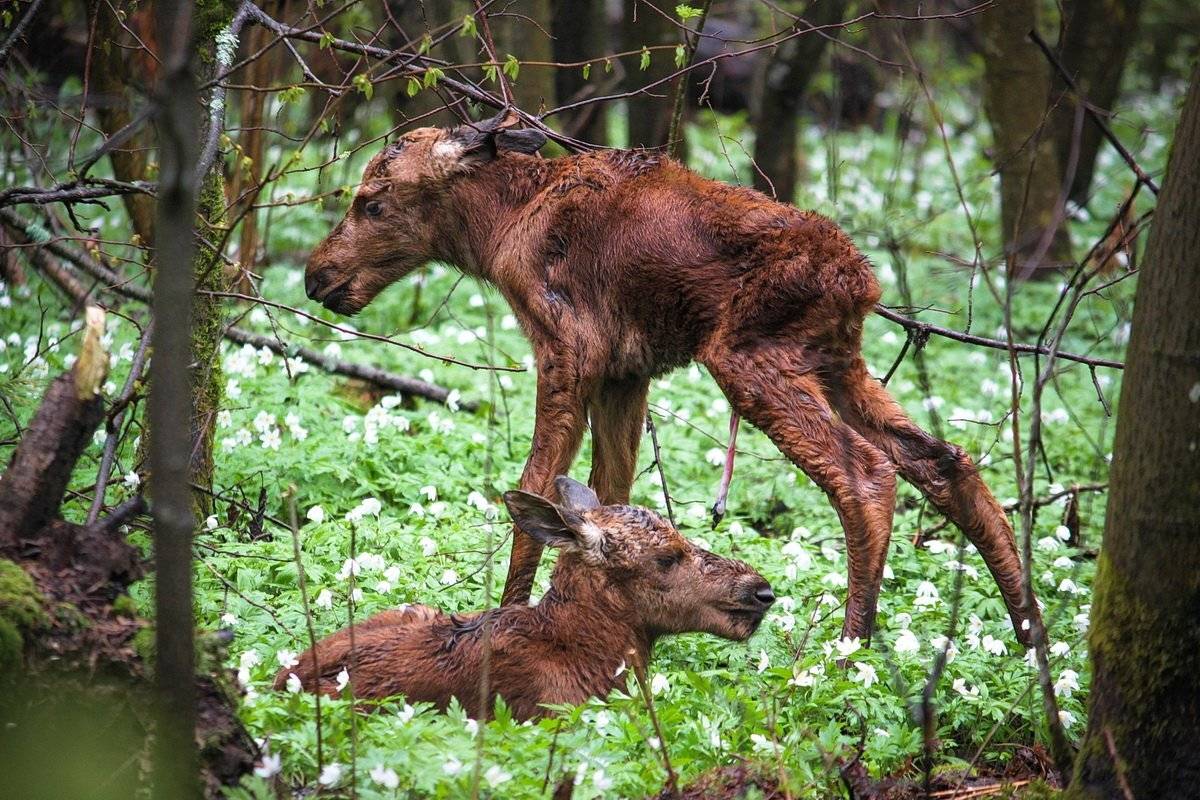 , Вилюнов Дмитрий
