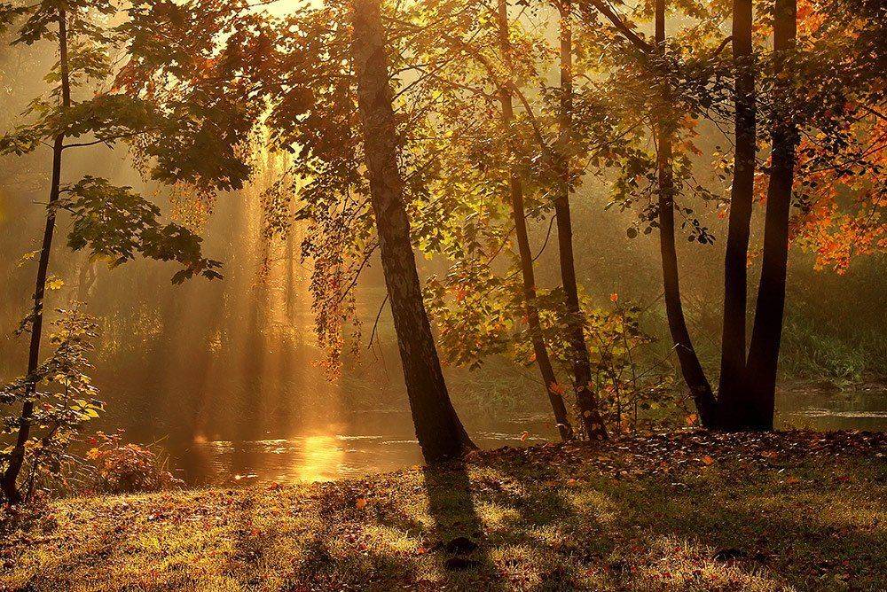 , Pawel Plucinski