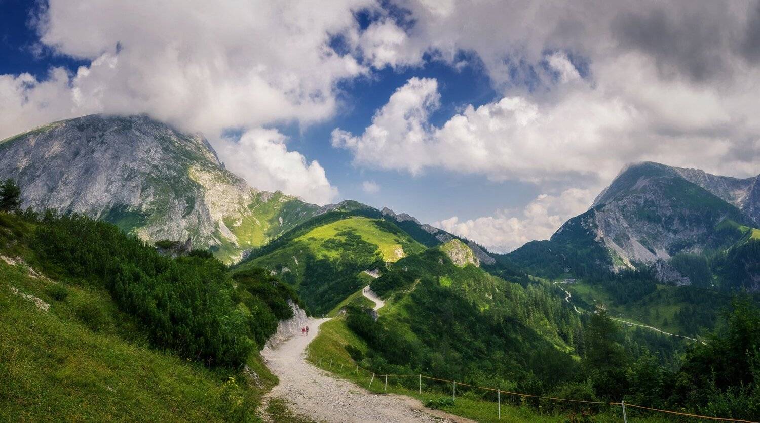 , Игорь Мелекесцев