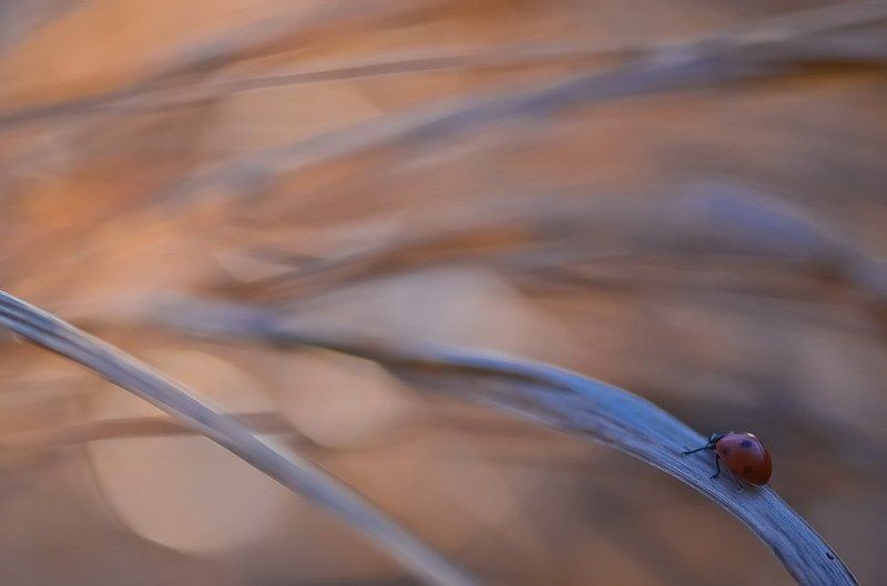 Дороги. фото превью