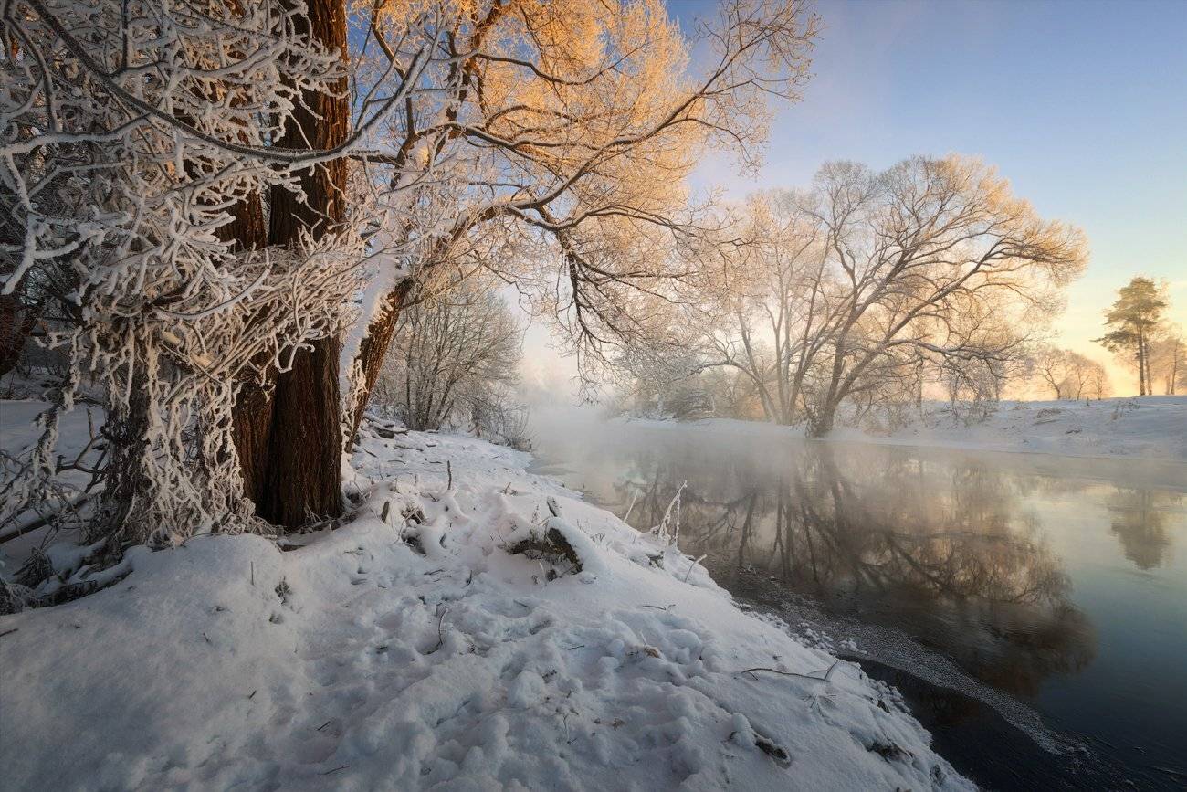 , Денис Сорокин