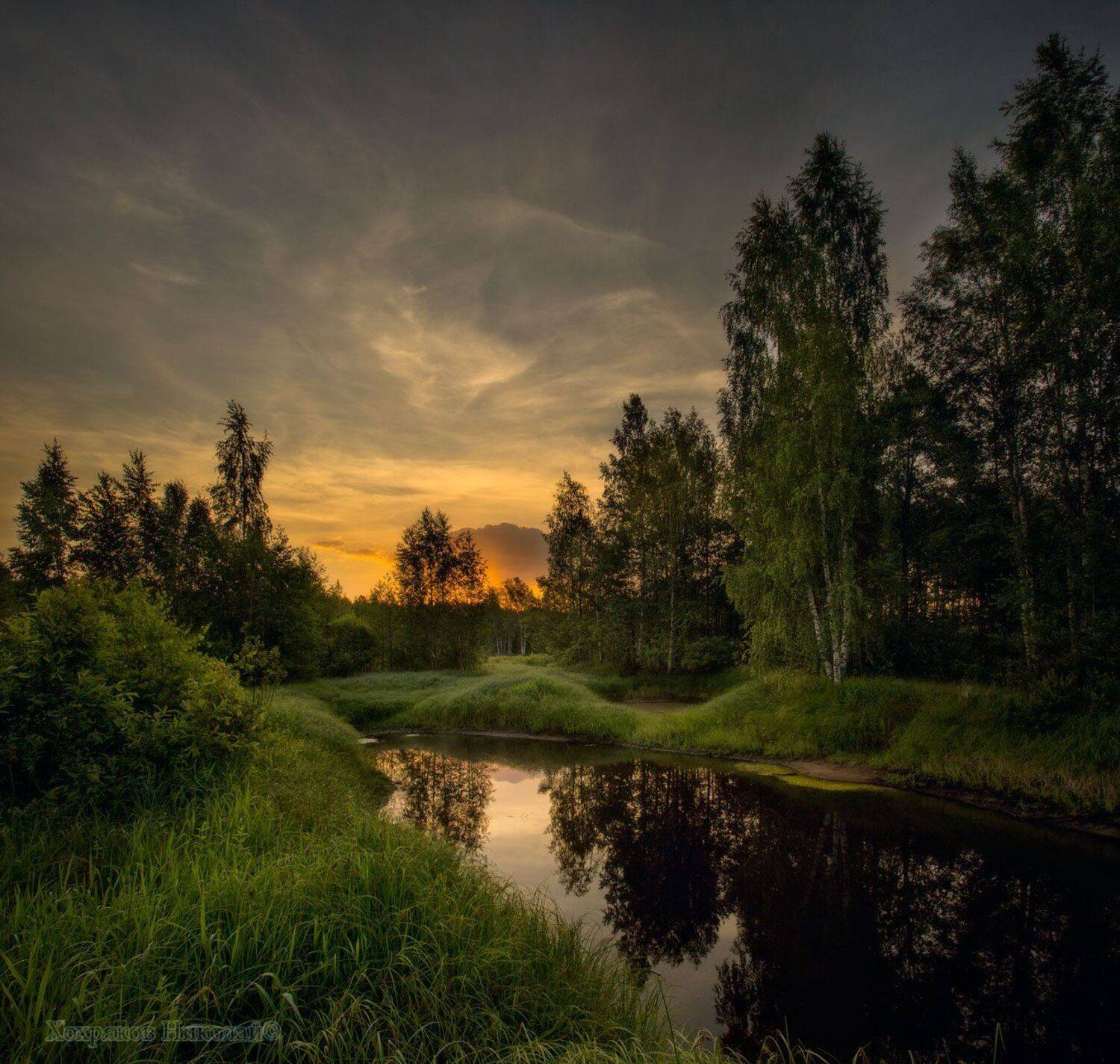 , Хохряков Николай