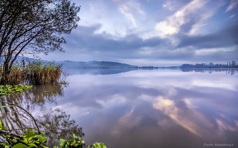 Morning reflections фото превью