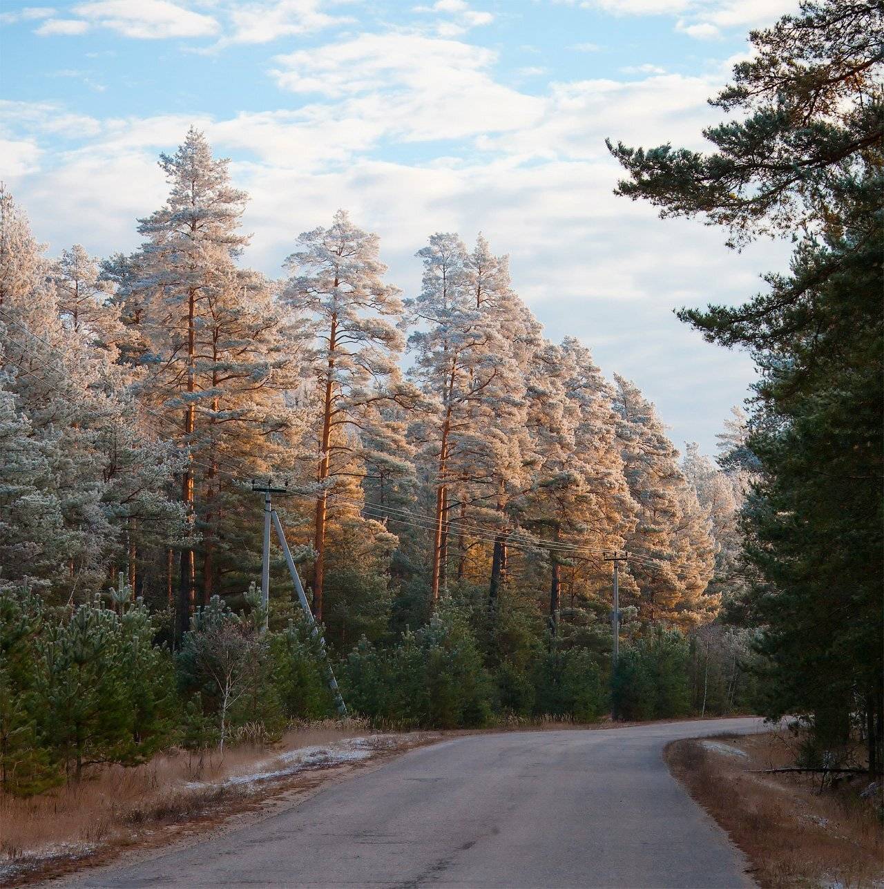 , Александр Аседач
