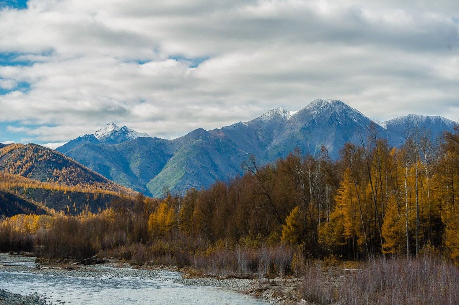 , Евгений Радченко