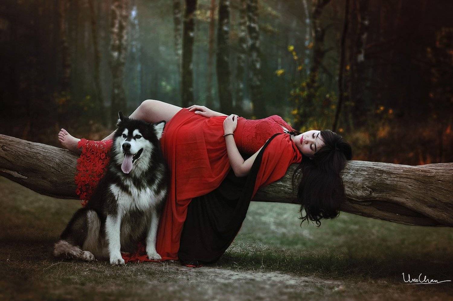 Forest, Girl beauty, Prince, Unochan, Vietnam, Wolf, unochan