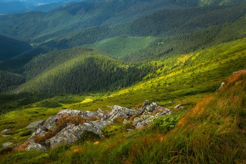 Карпатские истории