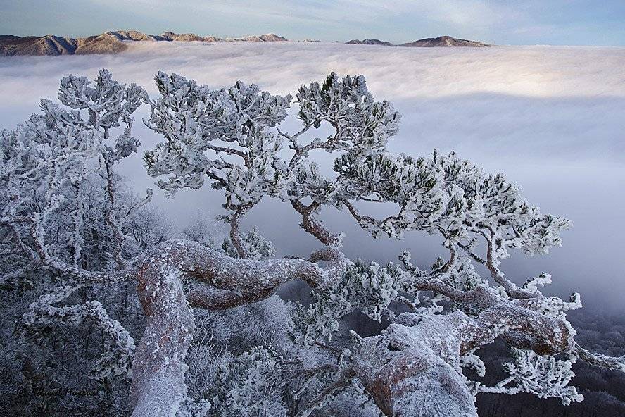 , Ловиков Михаил