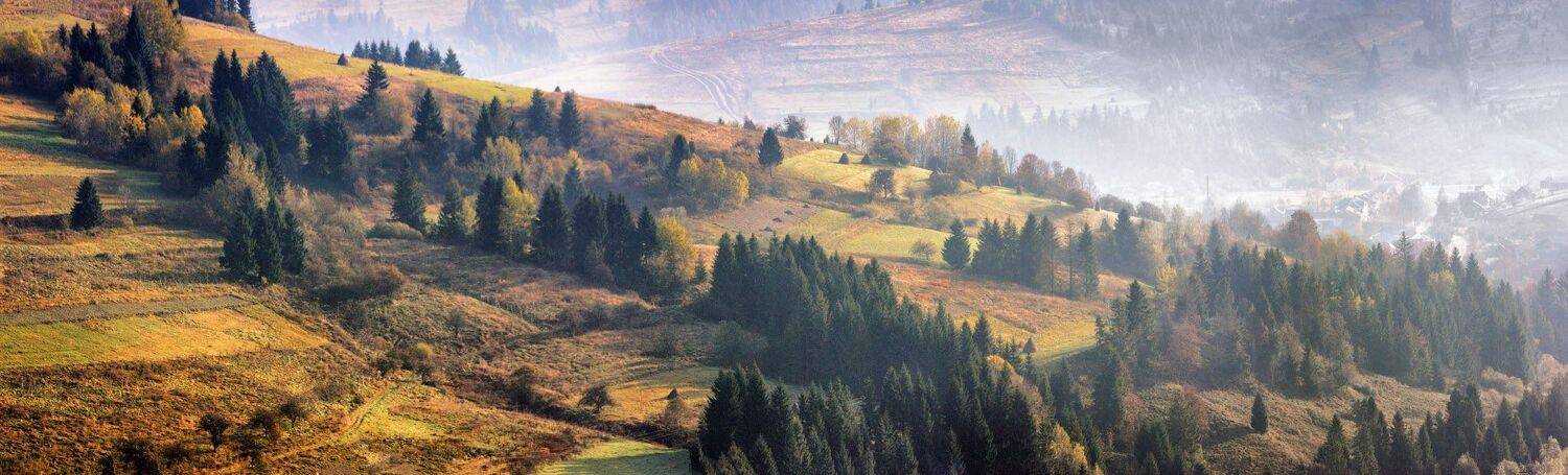 , Вейзе Максим