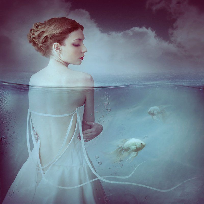 Рыба моей мечты фото превью