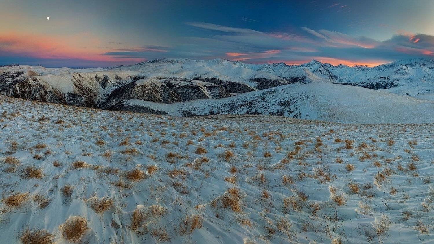 , Дмитрий Монастырский