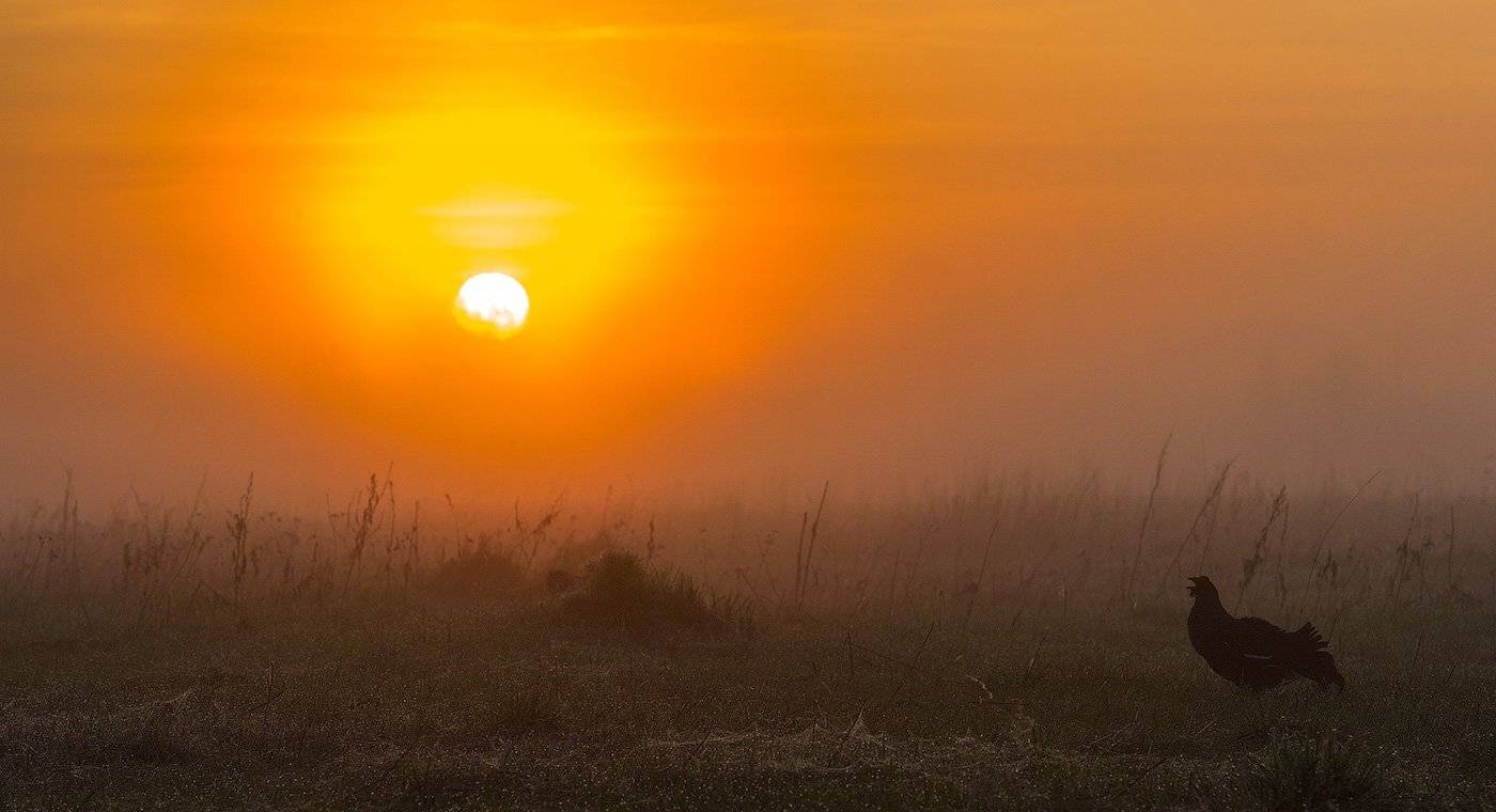 , Сергей Иванов