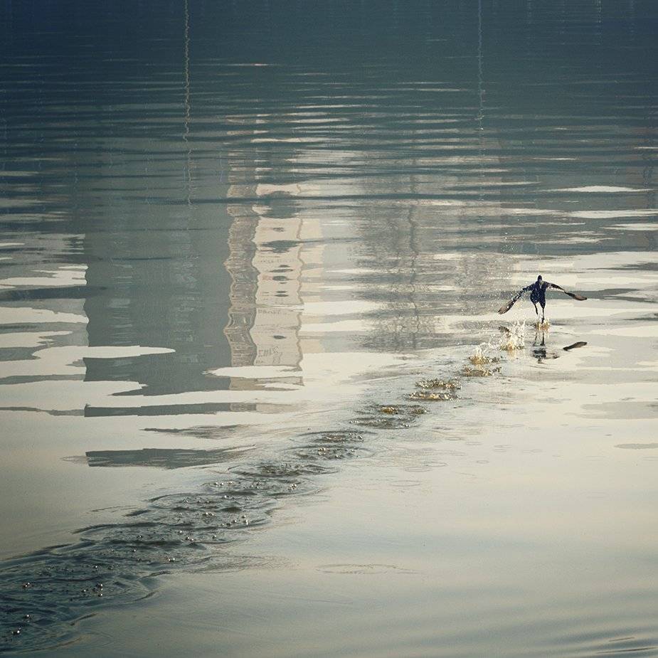 Running оn water. Автор: Васил Анастасовски , Васил Анастасовски