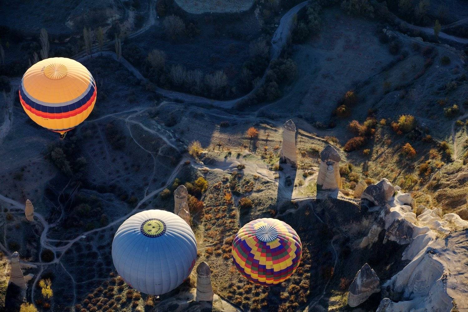 , Никифоров Егор