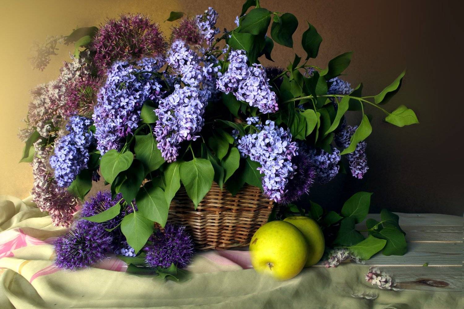 сирень , букет сирени , цветы сирени, Вера