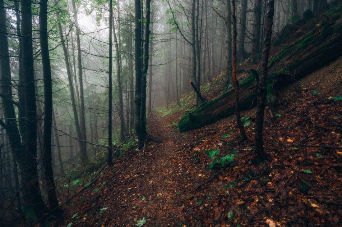 , Ярослав Тюрменко (Jaremi)