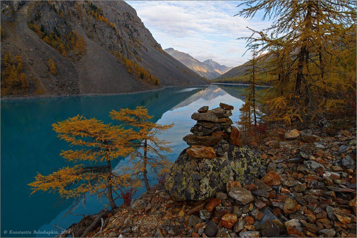 алтай, бонсай, константин белошапкин, лиственница, нижнешавлинское, озеро, осень, Константин Белошапкин