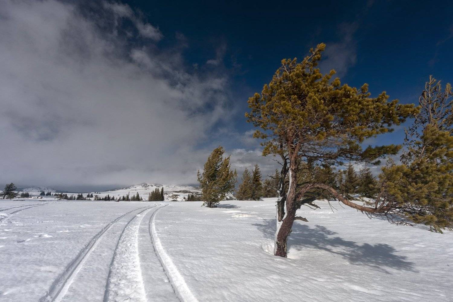 , Александър Сандев